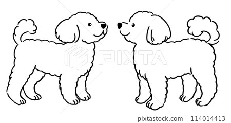 Illustration of a toy poodle (2 dogs, line drawing only) 114014413