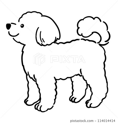 Illustration of toy poodle (line drawing only) 114014414