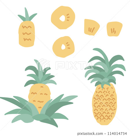 A simple illustration of a cute pineapple 114014734