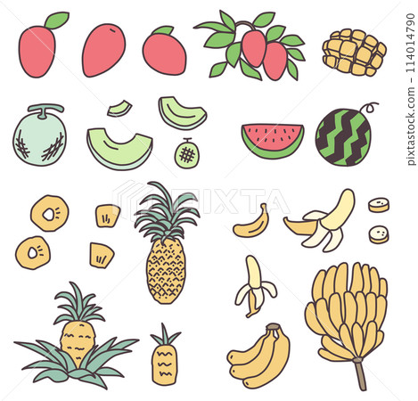 受夏季啟發的熱帶水果插圖集 114014790