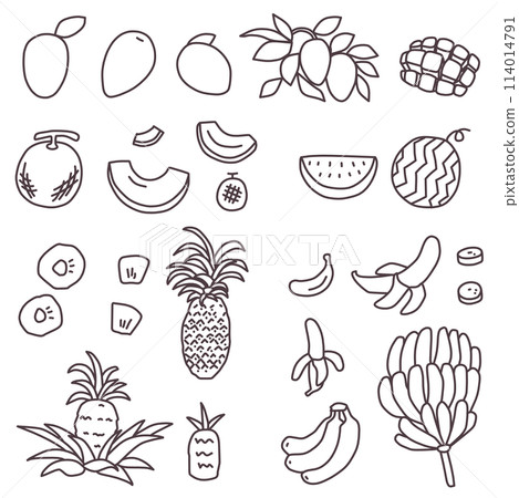 受夏季啟發的熱帶水果插圖集 受夏季啟發的熱帶水果插圖集 114014791