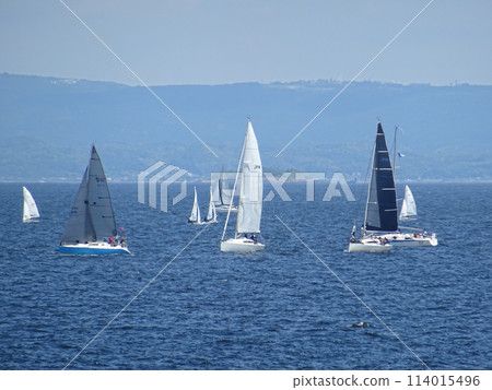 一群遊艇漂浮在海上 114015496