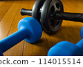 Muscle training, dumbbells, abdominal roller 114015514