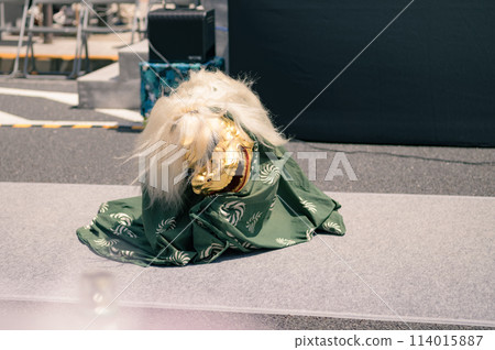 Lion Dance 114015887