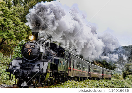 Moka鐵路蒸汽機車 114016686