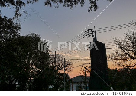東京國立市,穀保天滿宮的冬季夜景 東京國立市,穀保天滿宮的冬季夜景 114016752