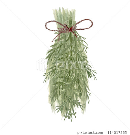Bunch of green herb with yellow flowers isolated on white. Hand painted in watercolor. High quality illustration for eco design, cards, packages, essential oil production, oil infusions, herbalism 114017265