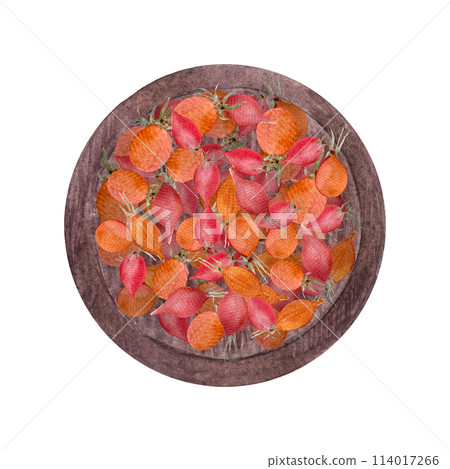 Rose hips on a wooden plate watercolor illustration isolated on white. Hand drawn high quality art with wild plant in simple style for herbalism, homemade medicine, tea packages, organic food design 114017266