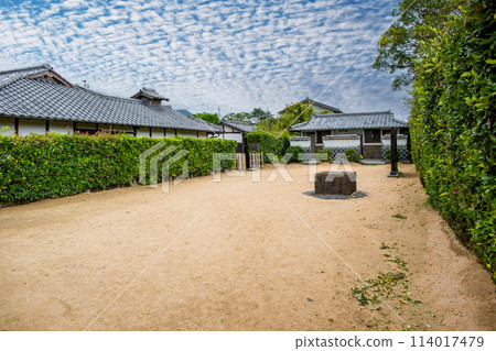 Bush clover Bush clover 114017479