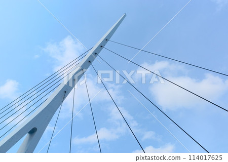 晴空下的傳送橋 114017625