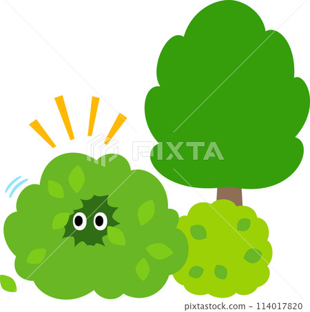 眼睛從灌木叢的葉子後面探出頭來 114017820