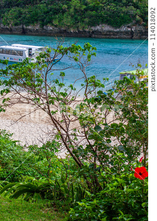 卡瓦希拉灣 114018092