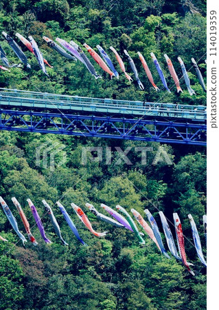 Ryujin Suspension Bridge and carp streamers, Ibaraki Prefecture 114019359