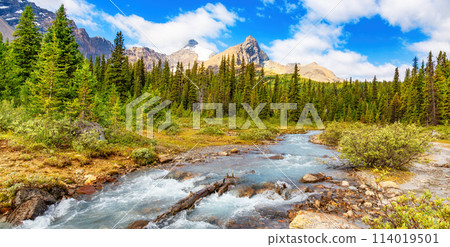 River in Canadian Rockies during sunny cloudy day. Banff, Alberta, Canada 114019501