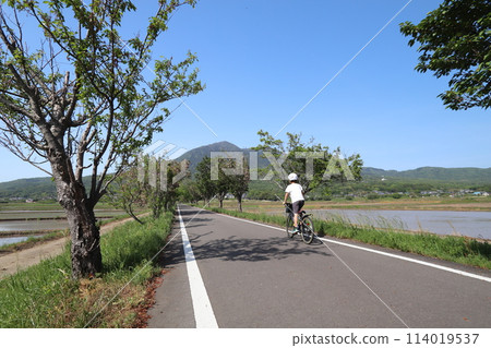 Tsukuba Kasumigaura Rin Lin Road Tsukuba Kasumigaura Rin Lin Road 114019537