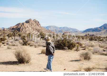 Joshua Tree Scene 6 Joshua Tree Scene 6 114019596
