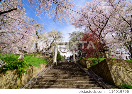 清爽的早晨,山形縣烏帽山八幡宮、大石牌坊 清爽的早晨,山形縣烏帽山八幡宮、大石牌坊 114019796