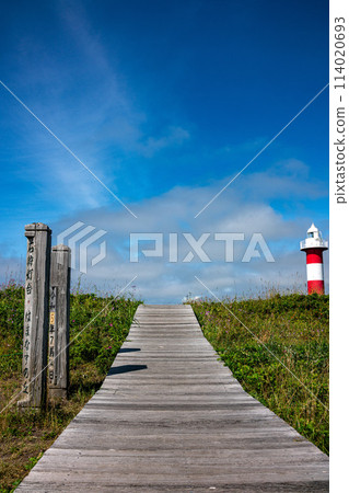 Boardwalk leading to the blue sky 114020693