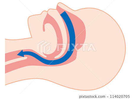 Normal breathing during sleep 114020705