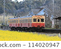 Koshiba railway to go to rape field 114020947