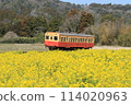 Kominato Railway running through a rapeseed flower field Ishigami rapeseed flower field 114020963