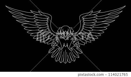 A flying Bird of Prey in illustrator A flying Bird of Prey in illustrator 114021765