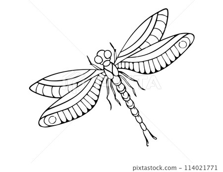 On an white background is there an Fire dragonfly for illutrator On an white background is there an Fire dragonfly for illutrator 114021771