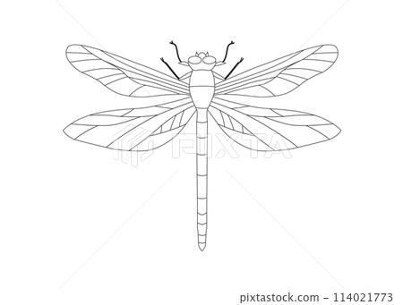 an Fire dragonfly 114021773