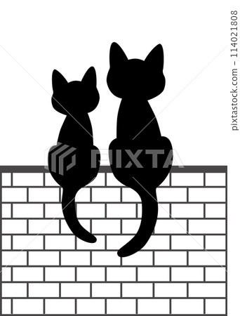 Two cats on an wall Two cats on an wall 114021808