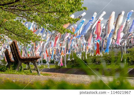 Takatsuki City Event: Koinobori Festival 1000 Takatsuki City Event: Koinobori Festival 1000 114021967