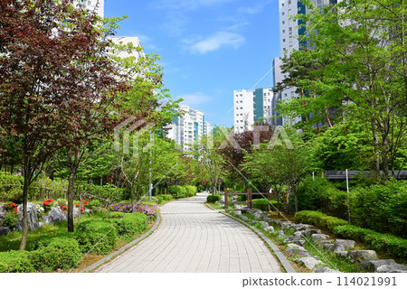 A residential area on the outskirts of Seoul with beautiful fresh greenery [Korea/Wirye New Town] 114021991