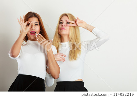 Two crazy girls playing around together. Two crazy girls playing around together. 114022219