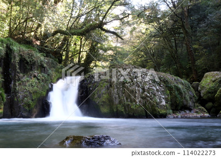 Autumn in Kikuchi Valley: Reimei Falls Autumn in Kikuchi Valley: Reimei Falls 114022273