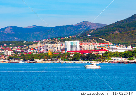 Gelendzhik aerial panoramic view, Russia 114022717