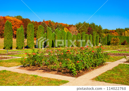 Rose garden in Kislovodsk National Park 114022768