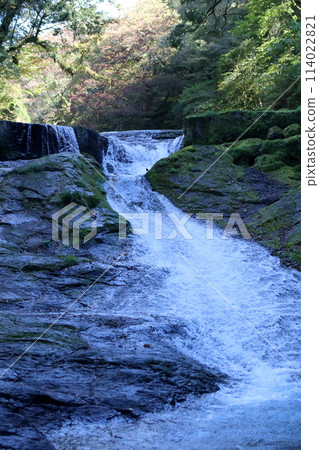 Kikuchi Valley in Autumn - Yojusanman Falls Kikuchi Valley in Autumn - Yojusanman Falls 114022821