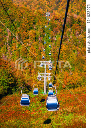 Cable car at Rosa Khutor, Sochi 114022973