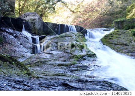 秋天 菊池溪谷 四十萬瀑布 114023025