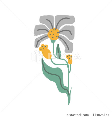 Colorful daisy floral doodle illustration in a trendy style Colorful daisy floral doodle illustration in a trendy style 114023134