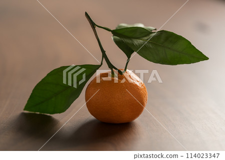 Small organic tangerine with leaves on wood table 114023347