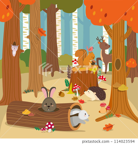 autumn, autumnal, fall 114023594