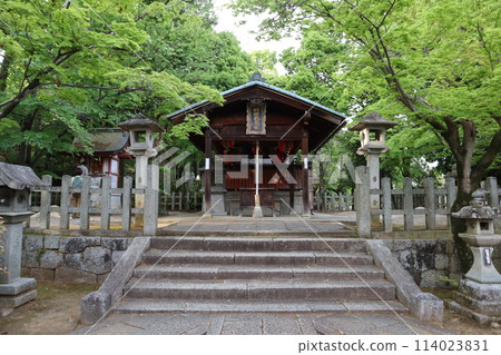 神社 神社 114023831