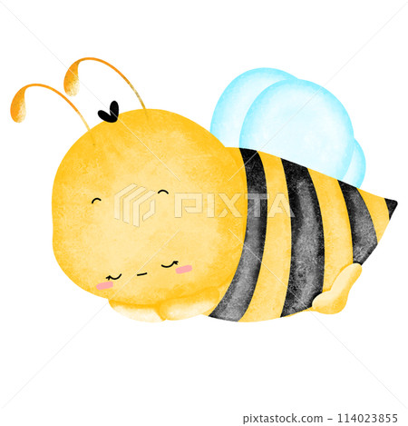 bee 114023855