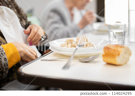 Close up of an elderly woman having lunch at retirement home. 114024295
