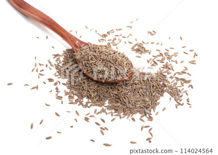 dry zira seeds spice in the spoon isolated on the white dry zira seeds spice in the spoon isolated on the white 114024564