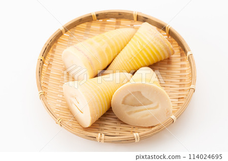 Boiled bamboo shoots on a white background Boiled bamboo shoots on a white background 114024695