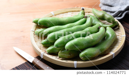 Broadcasting Broadcasting 114024771