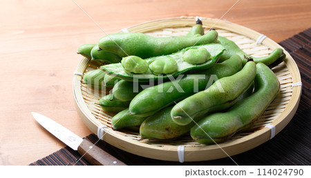 Broadcasting Broadcasting 114024790