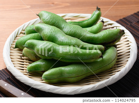 Broadcasting Broadcasting 114024795