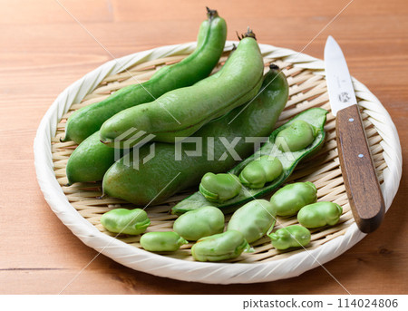 Broadcasting Broadcasting 114024806